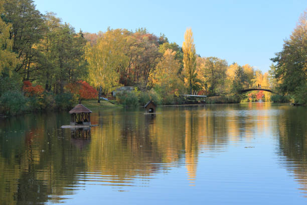 istock Autumn reflection in the water 865816256
