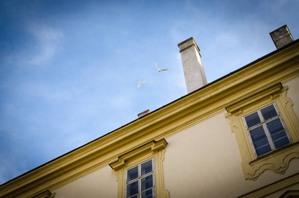 Many swallows birds flying over buonconsiglio castle in trento tower on rainy day
