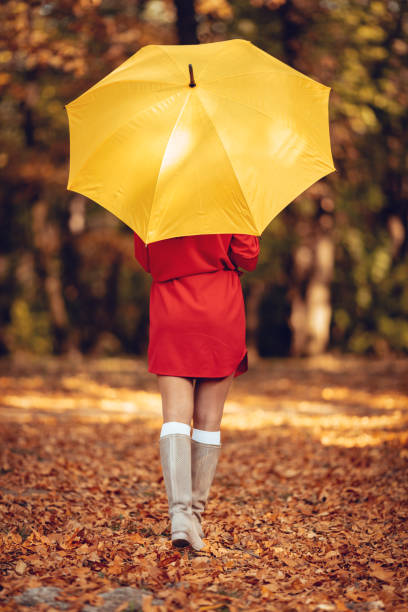 istock Woman Under An Umbrella 865817920
