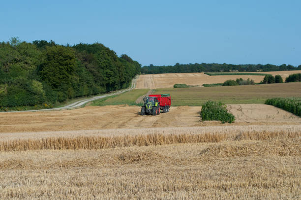 istock tractor waiting for a harvester on  field 865820664
