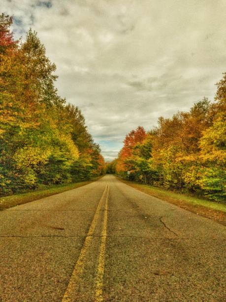 istock deserted road in autumn 865821824