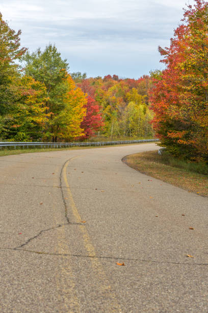 istock deserted road in autumn 865821876