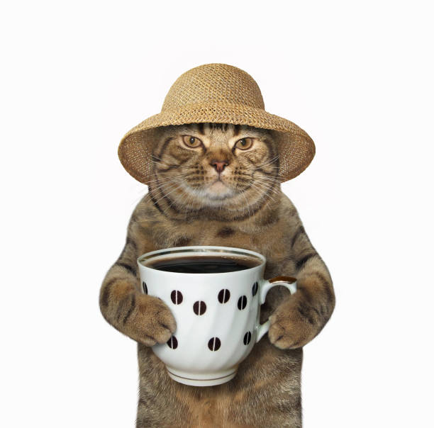 istock Cat with cup of coffee 865825206