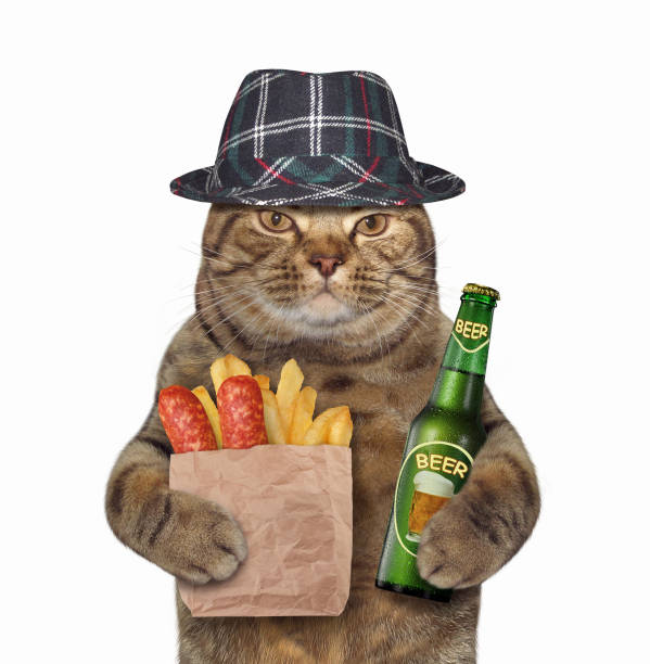 istock Cat with beer and sausage 865825212