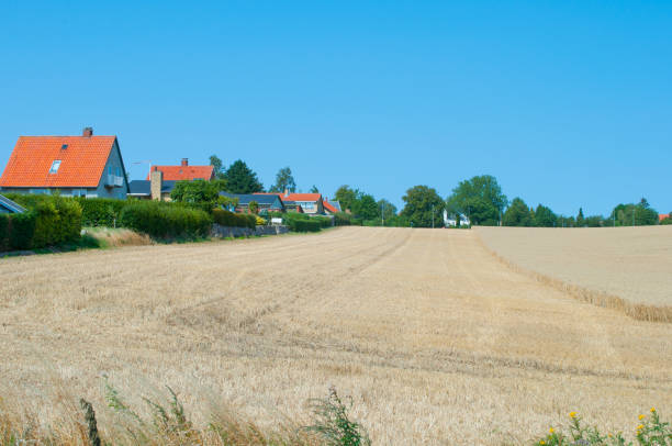 istock Field outside of Vordingborg in Denmark 865829214