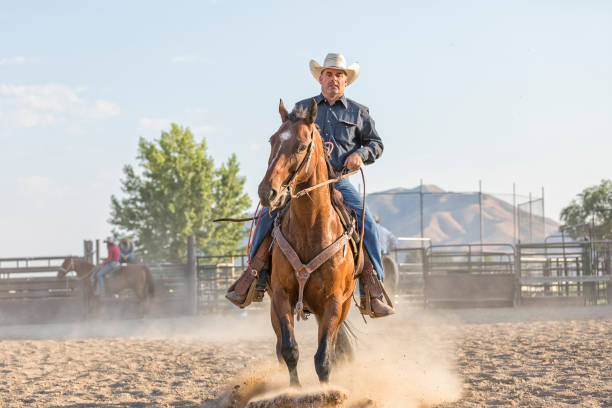 istock Cowboy pulls back on the reins to stop his horse while riding in an arena 865829622