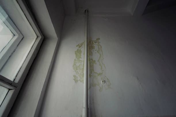 istock Interior of an abandoned building with window and dirty wall 865829870