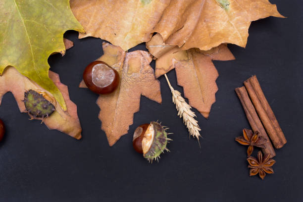 istock autumn background with colored leaves on wooden board 865832776