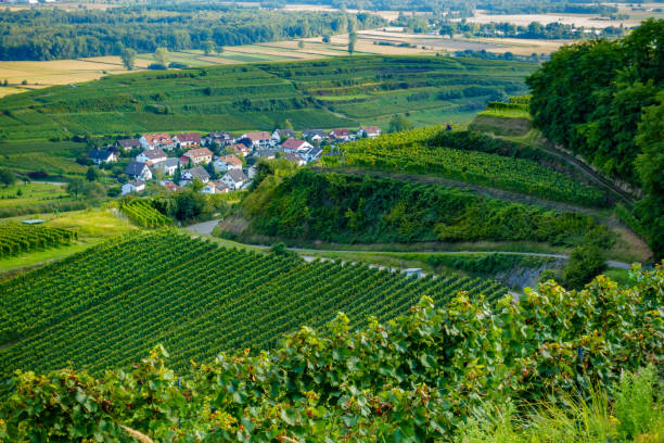 istock Vineyards at Ihringen, Germany 865837150