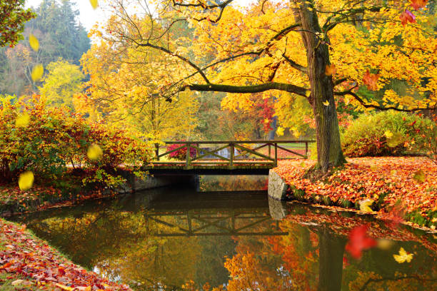 istock Autumn forest. Beautiful rural scenery 865837362