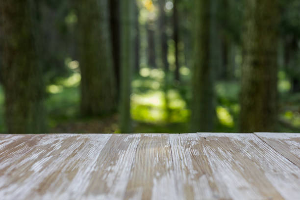 istock Empty rustic wood table top on blurred forest background at summer. Can montage or display your products 865839762