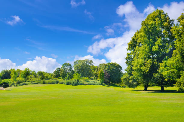 istock park, green meadow and blue sky 865847812