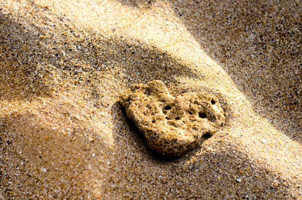 Heart-shaped stone in the beach sand