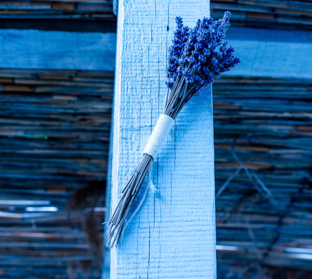 Lavender on The Cross