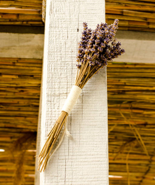 Lavender on The Cross
