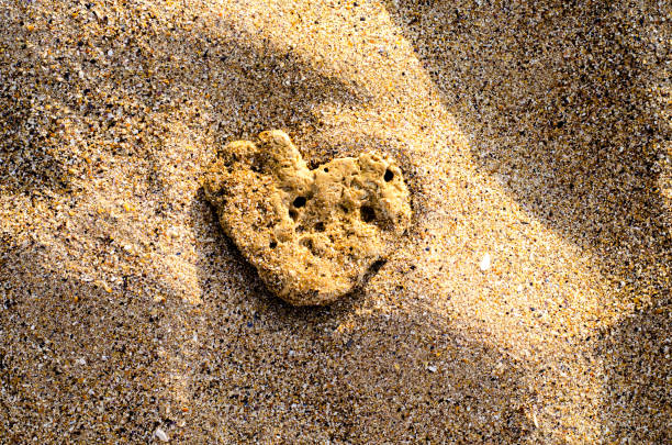 Heart-shaped stone in the beach sand
