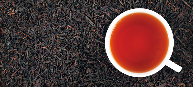 Cup of black tea on the leaves, panorama