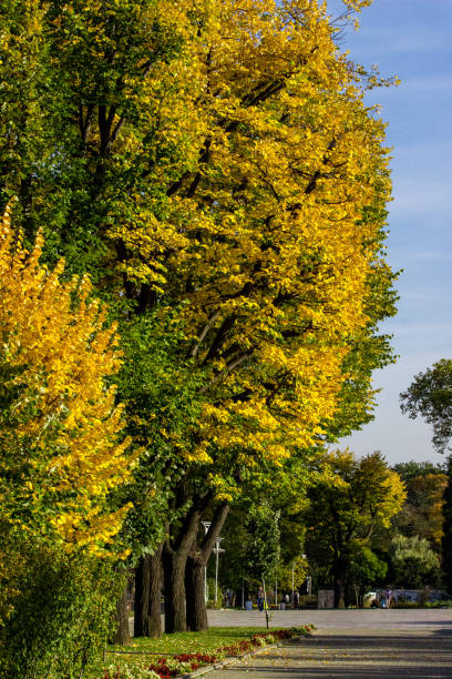 Autumn in the park, Borisova gradina, Sofia, Bulgaria