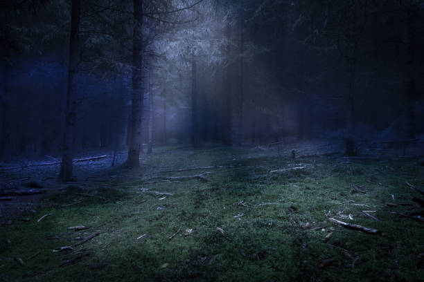 istock Dark forest and green den with mist and moonlight 865860076