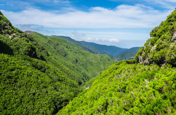 istock Madeira landscape, green hills, mountains, laurel forest 865860130