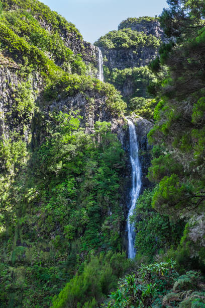 istock Madeira landscape, green hills, mountains, laurel forest 865860736
