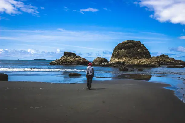 Exploring the tide pools at Ruby Beach, Olympic National Park, Washington State