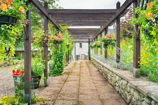 istock Park with pergola in Dunkeld Scotland 865863856