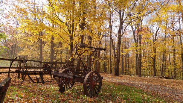 istock Farm Equipment on Maple Grove 865864036