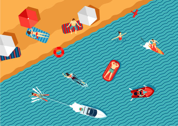 People relax on the beach and swimming in the sea. Top view. Flat style. Resort top view. People relax on the beach and swimming in the sea. Cartoon illustration. fish swimming from above stock illustrations