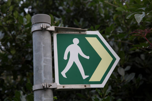 istock Green Treking Sign 865864786