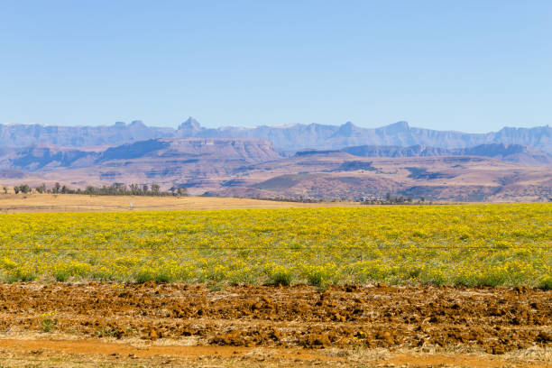 Landscape from South Africa along the road to Dragon's mountains. Drakensberg panorama.
