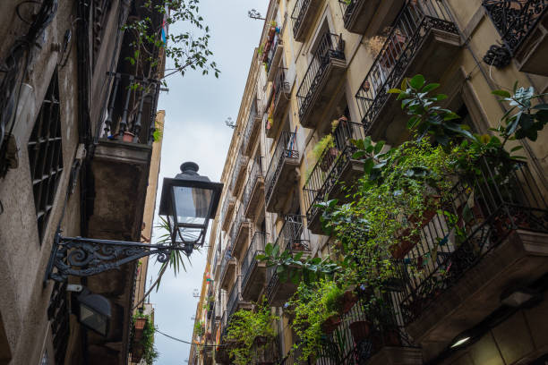 istock Old street light and balconies in Barcelona, Spain 865880224