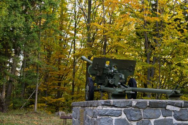 istock Old cannon in the woods. 865884594