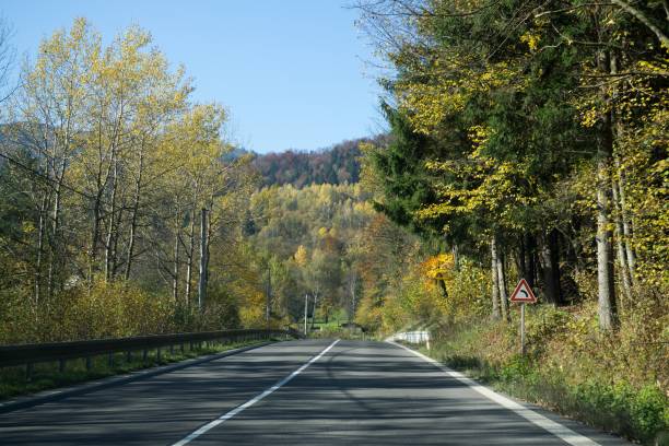 istock Street with colorful trees during autumn. 865887496