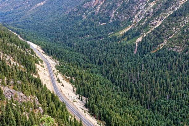 워싱턴 패스, 노스 캐스케이드 - north cascades national park cascade range highway north 뉴스 사진 이미지
