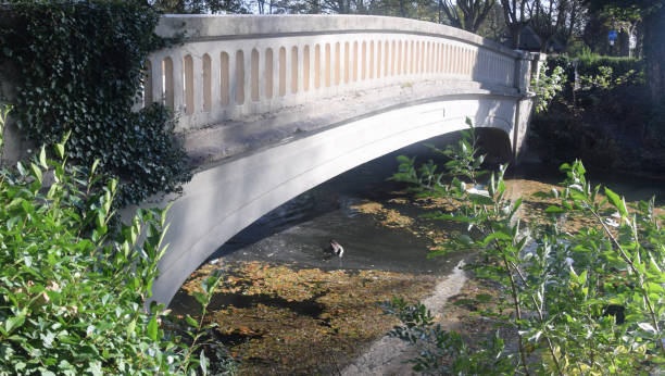 istock Bridge Across the Tame River 865888476