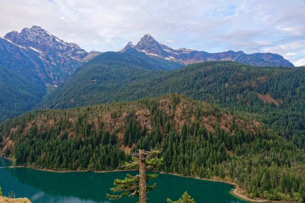 디아블로 레이브 - north cascades national park cascade range highway north 뉴스 사진 이미지