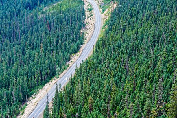 노르트 캐스케이드 highway - north cascades national park cascade range highway north 뉴스 사진 이미지