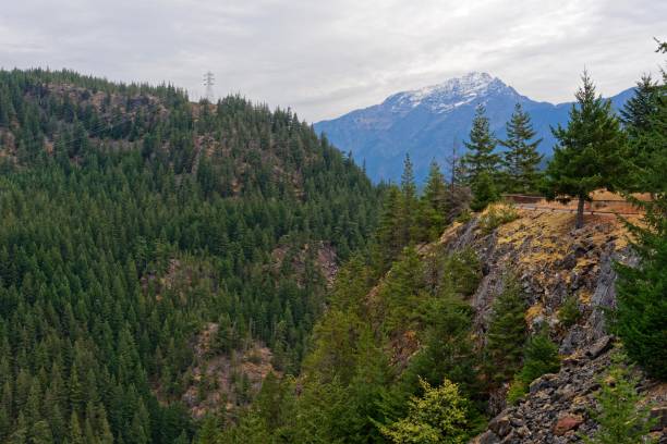 노스 캐스케이드 비스타 - north cascades national park cascade range highway north 뉴스 사진 이미지