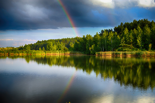 Reflection. Rainbow on the forest lake