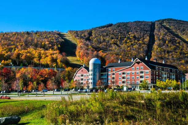 sugarbush in the fall - sugarbush imagens e fotografias de stock