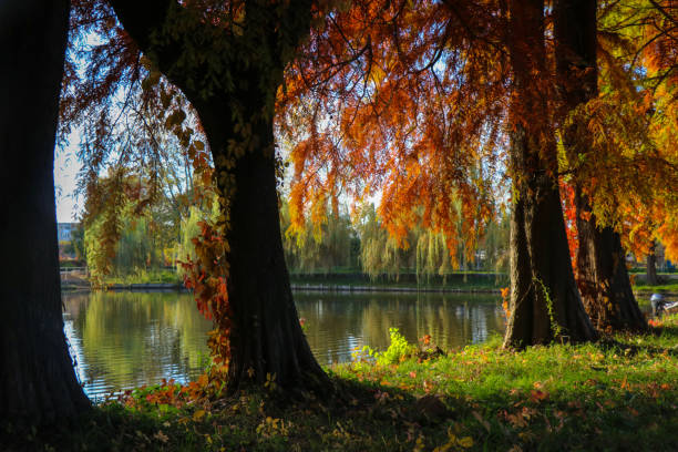 istock Lake with autumn colors 865890398