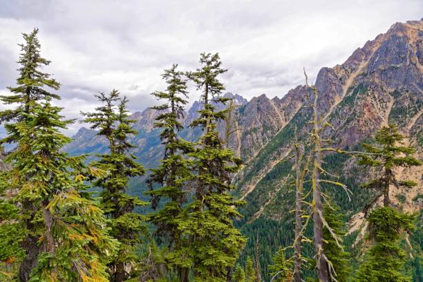 przełęcz waszyngton, północne kaskady - north cascades national park cascade range highway north zdjęcia i obrazy z banku zdjęć