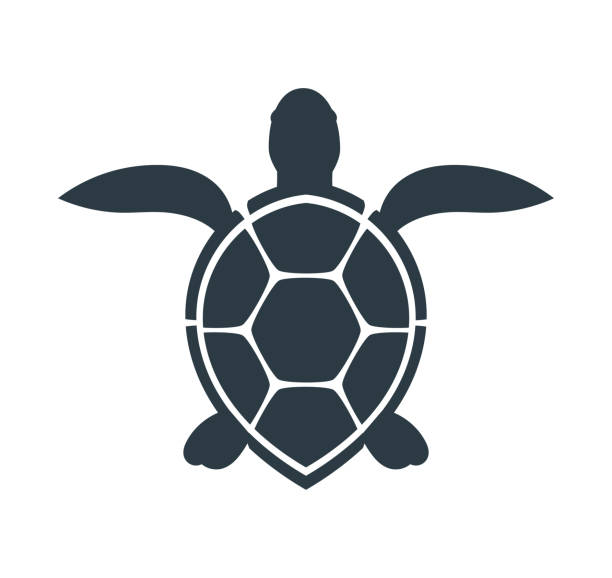 Sea turtle icon. Sea turtle icon. Vector illustration sea turtle stock illustrations