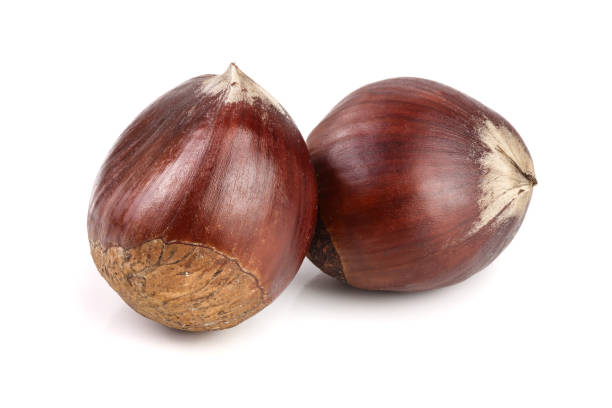 istock fresh edible chestnut isolated on white background 865892894