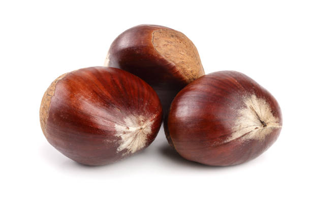 istock fresh edible chestnut isolated on white background 865892978