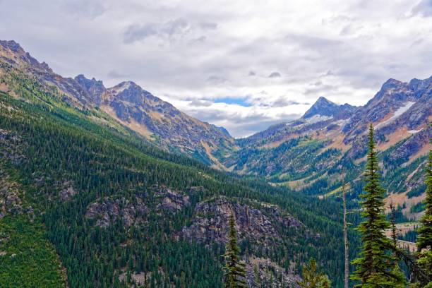 워싱턴 패스, 노스 캐스케이드 - north cascades national park cascade range highway north 뉴스 사진 이미지