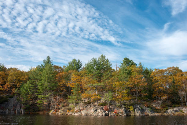 istock Stony lake shore exhibits colourful foliage 865893754
