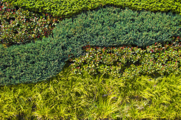 istock Green Grass Wall in street 865895986