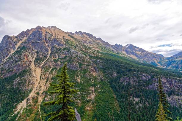 col de washington, north cascades - north cascades national park cascade range highway north photos et images de collection